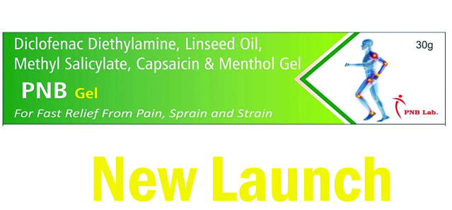  PNB GEl 